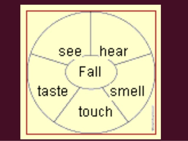 describing a beach essay describing a beach essay
