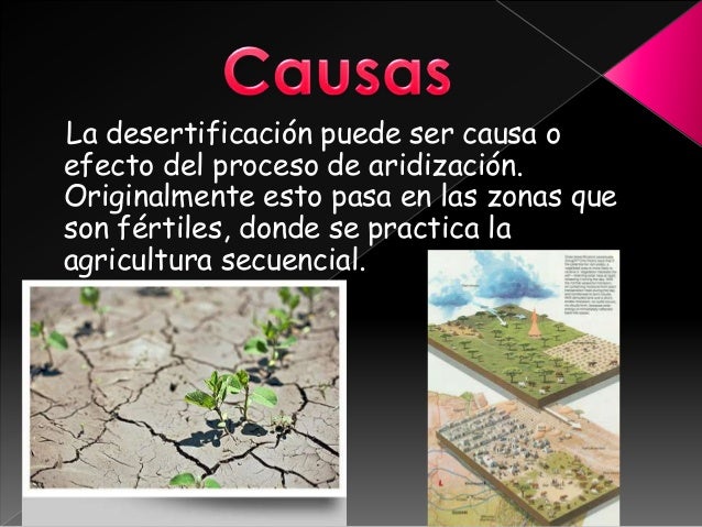 Desertificación
