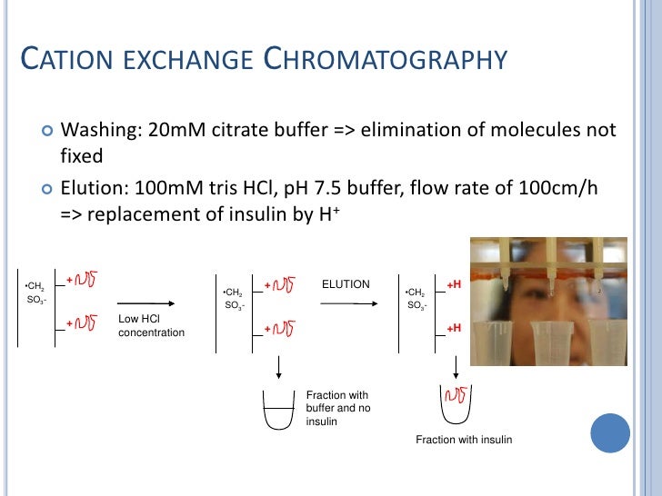 Design And Purification Of Proteins