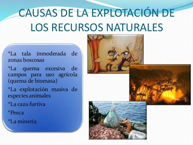 Desordenada e irracional explotacion de los recursos naturales del ec…