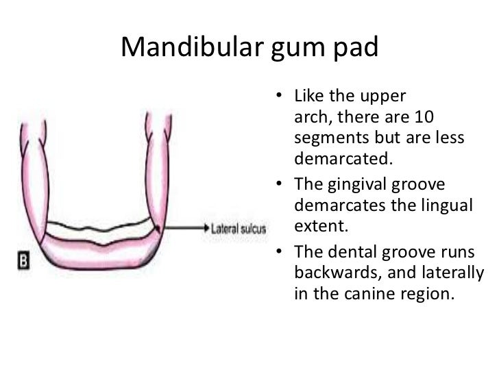 Development of occlusion_kritika