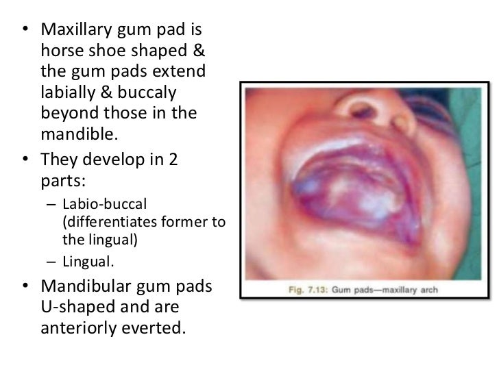 Development of occlusion_kritika