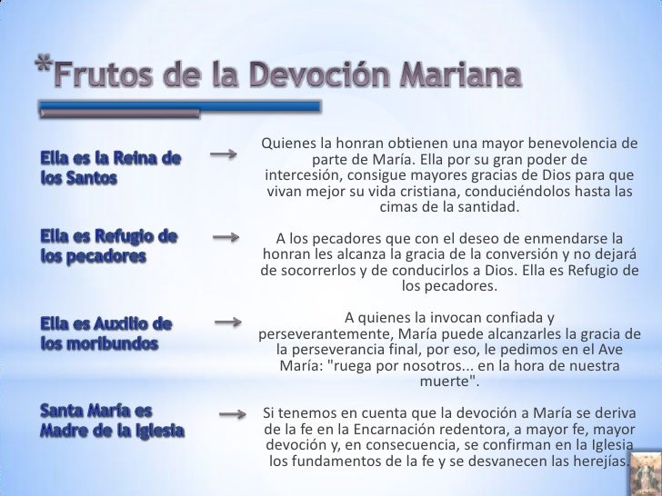 Devocion y dogmas marianos