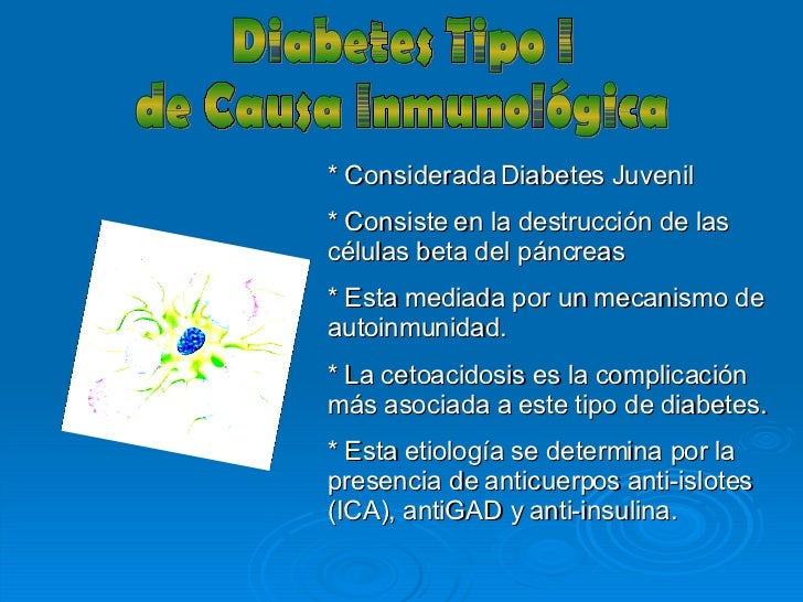 Diabetes Mellitus Tipo 1 Diabetes Mellitus Tipo 1