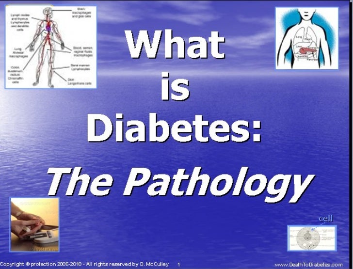 Death to Diabetes: Type 2 Diabetes Pathology