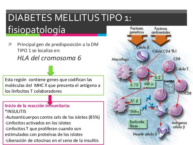 Imagenes Diabetes Mellitus Tipo 1 images Imagenes Diabetes Mellitus Tipo 1 images
