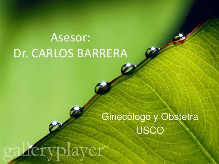 Diabetes gestacional monografia Diabetes gestacional monografia