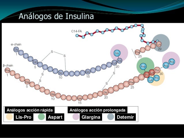 Diabetes infantil Diabetes infantil