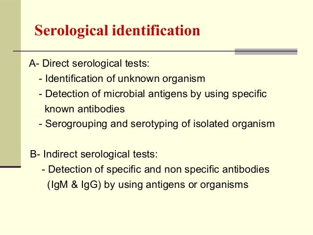 Serological Detection Of Ilarvius