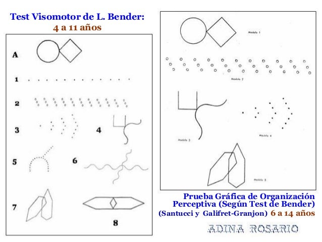 Introduccion De Un Manual De Bienvenida De Una Empresaria