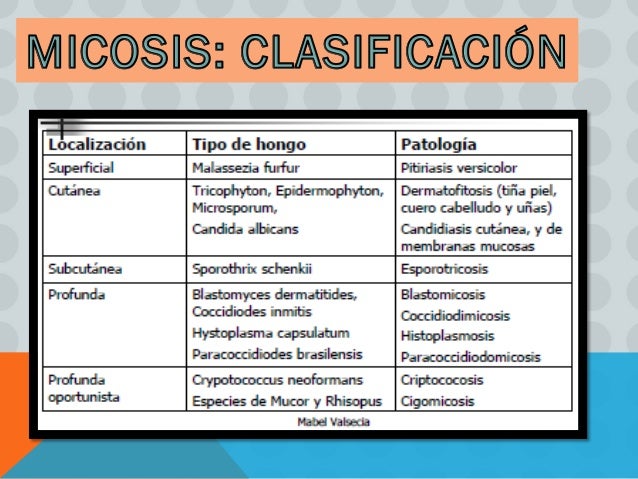 antifungicos - candidiasis oral antifungicos - candidiasis oral