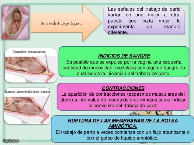 El dolor en el cóccix y en los riñones al levantamiento de la causa