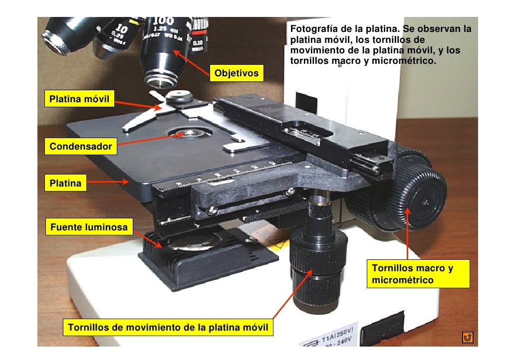 Tornillo De Desplazamiento De La Platina