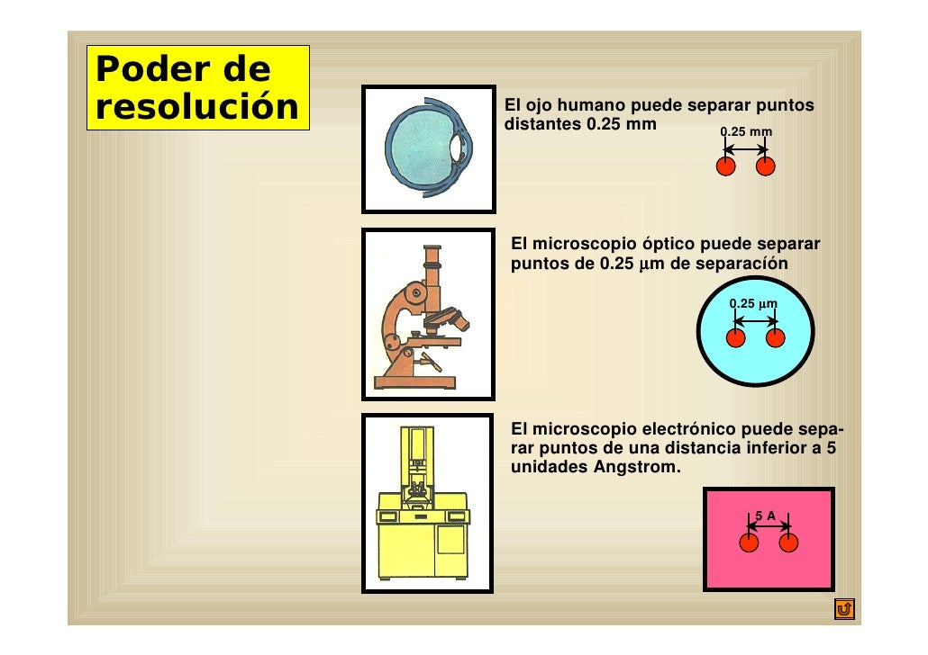 Diapositiva plan microscopio
