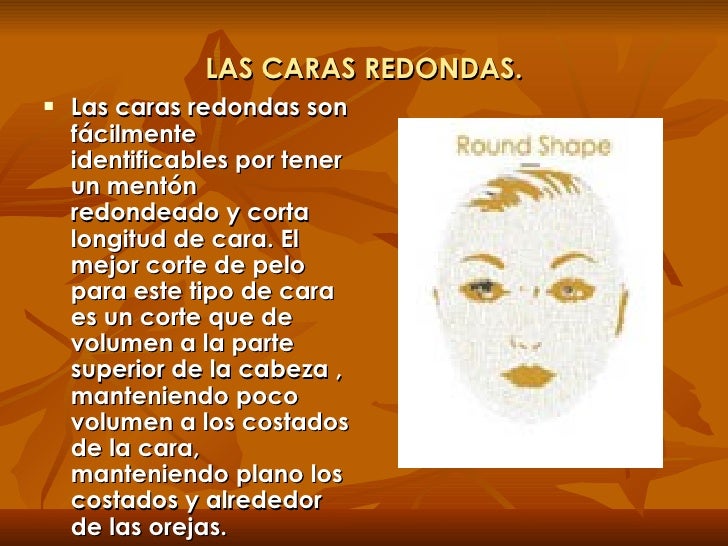 El análisis ttg a la caída de los cabello
