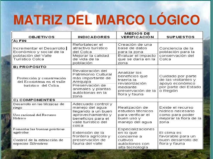 Marco Logico De Un Proyecto Ambiental