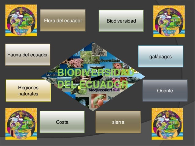 http://image.slidesharecdn.com/diapositivasdecomputacion1-121029105703-phpapp01/95/biodivrsidad-regiones-del-ecuador-2-638.jpg?cb=1351526425