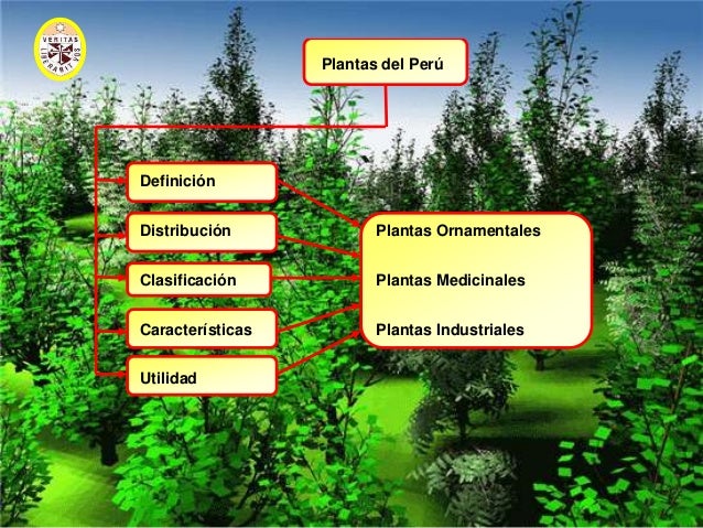 Plantas Industriales Definicion images Plantas Industriales Definicion images