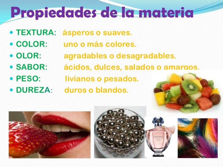 Diapositivas didactica 2012 (2)