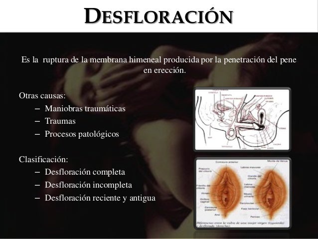 FRANCAISE FOTOS VIDEOS DE PUTAS DEDO GAY VER NUMEROS DE PUTAS