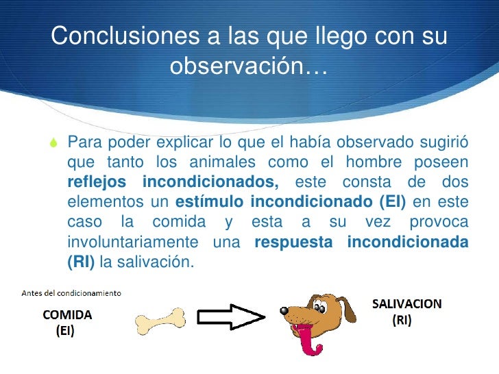 DIDACTICA: TEORÍAS DEL APRENDIZAJE: PAVLOV. EXPOSICIÓN EQUIPO 1 Pavlov-experimento-con-perros-4-728