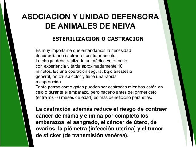 Las revocaciones sobre el aumento del pecho en chelyabinske