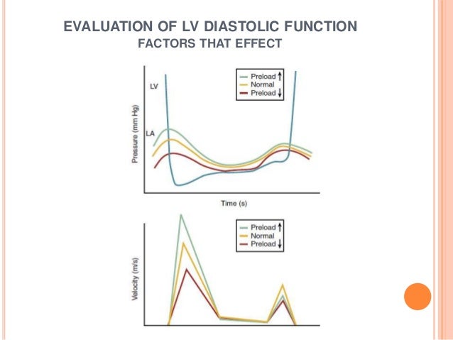 Diastolic function