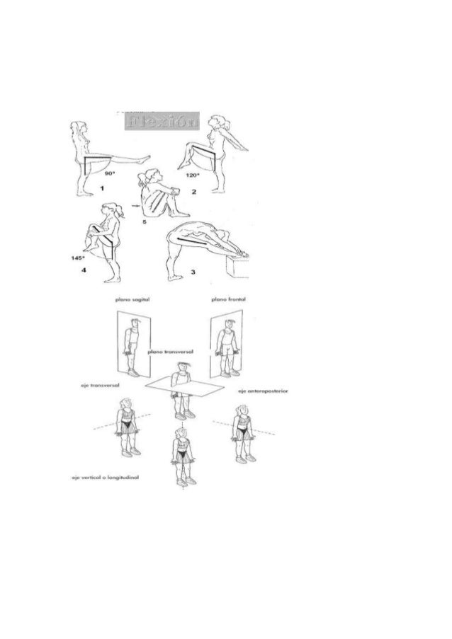 DIBUJOS DE PLANOS dibujos de planos: