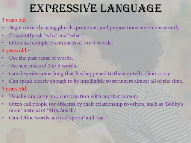 About English Language Essay