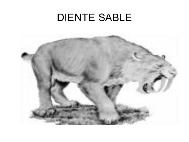 Dientes de sable