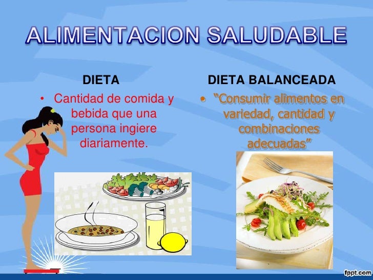 Dietas Quemagrasas Efectivas
