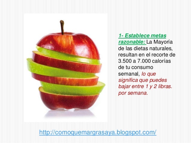 Dietas Efectivas Sin Rebote
