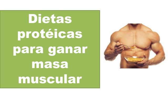 Dietas Caseras Para Aumentar Masa Muscular