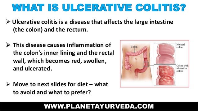 Best Diet For Dogs With Ibs Best Diet For Dogs With Ibs