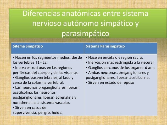 Cuadro Comparativo Del Sistema Simpático Y Parasimpático es.slideshare.net