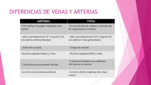 Diferencias entre venas y arterias