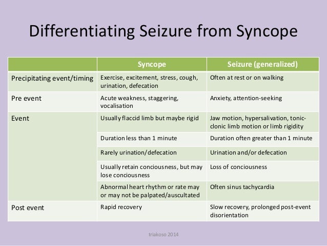 yorkies and seizures differential seizures small animal medicine yorkies and seizures differential seizures small animal medicine