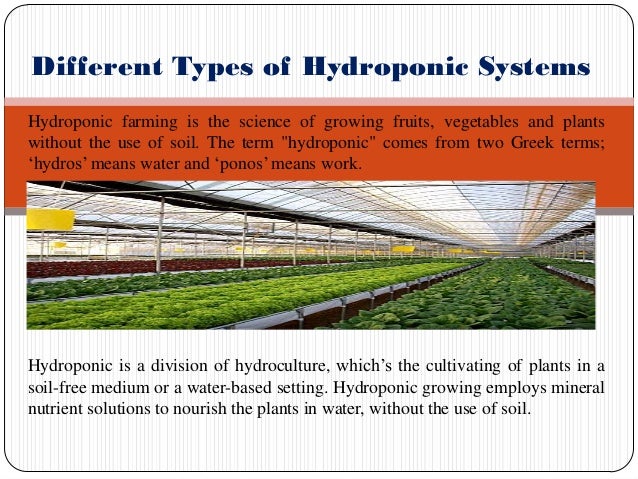 Different types of hydroponic systems