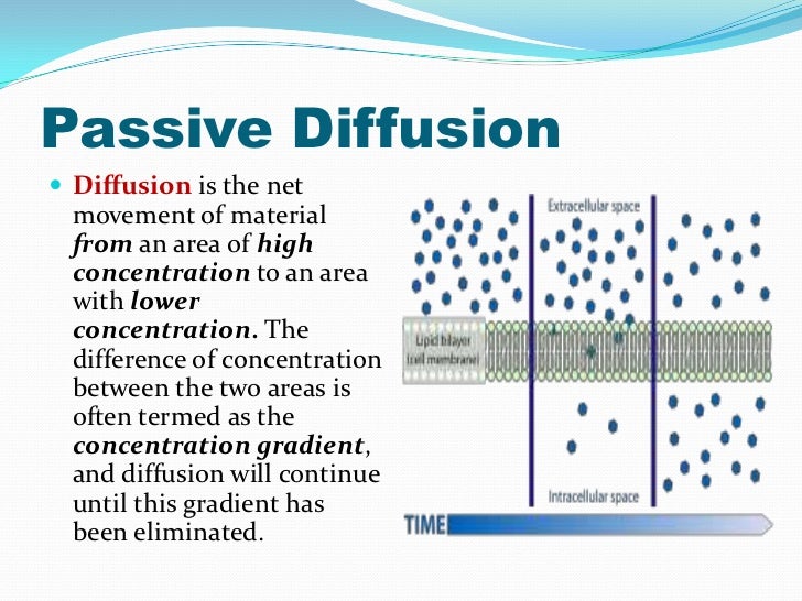 Diffusion finals, feb 29, 2012