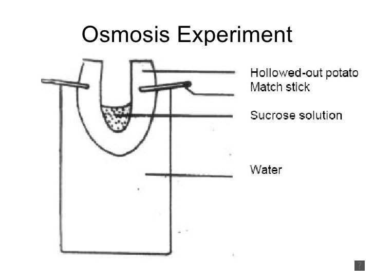 Diffusion, osmosis, active transport 2010 voice