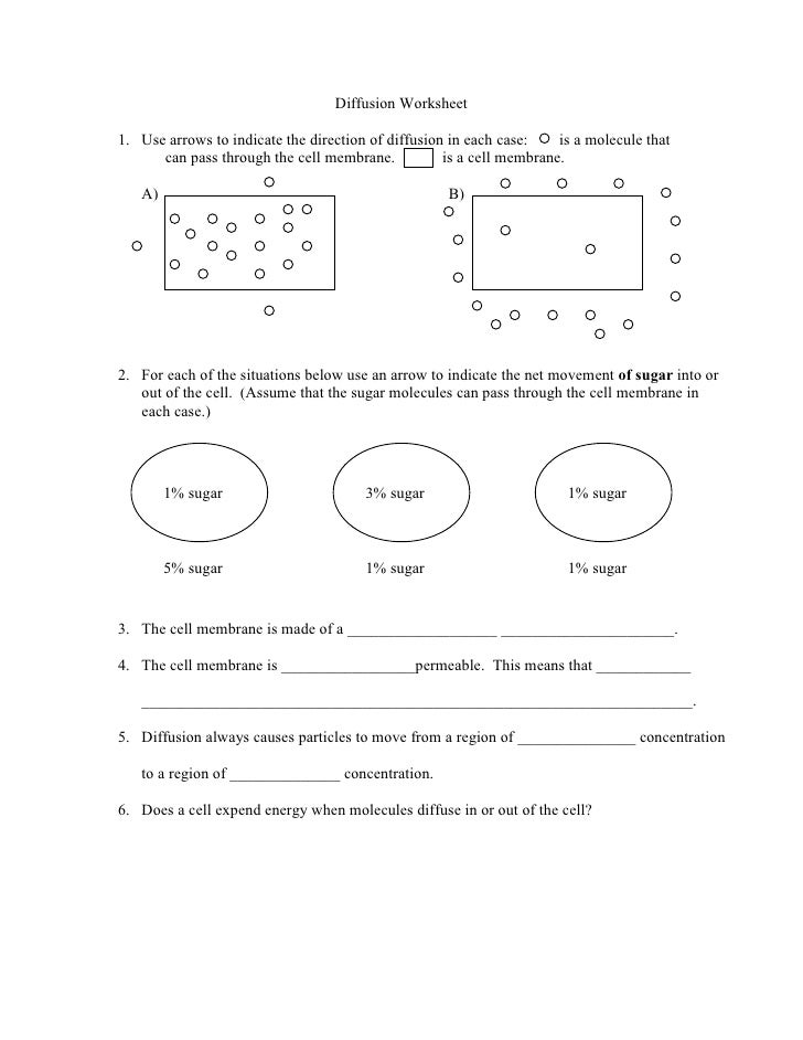 osmosis-and-diffusion-practice-worksheet