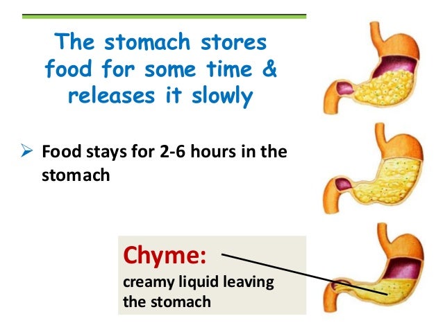 Digestion