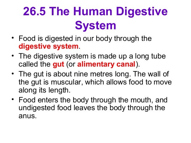 digestion test in humans Documents similar to csec biology - digestion test skip carousel cape 2 biology transport in plants and humans worksheet parenchyma,collenchyma and. digestion test in humans Documents similar to csec biology - digestion test skip carousel cape 2 biology transport in plants and humans worksheet parenchyma,collenchyma and.