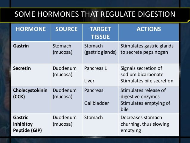 The Digestive System (Anatomy)