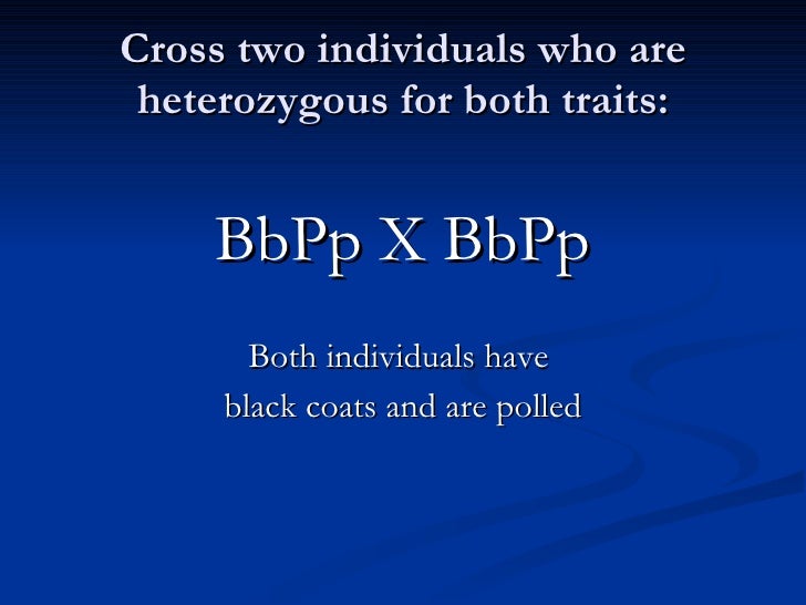 Dihybrid Cross Complete Dominance