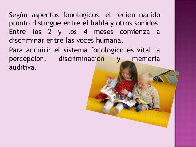 DIMENSION COMUNICATIVA
