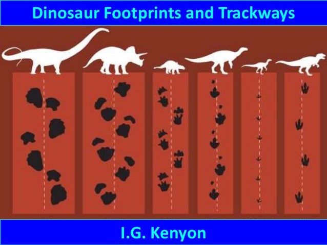 compsognathus footprint