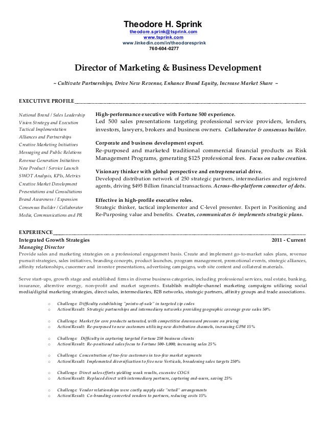 director of marketing amp business development resume development director resumes
