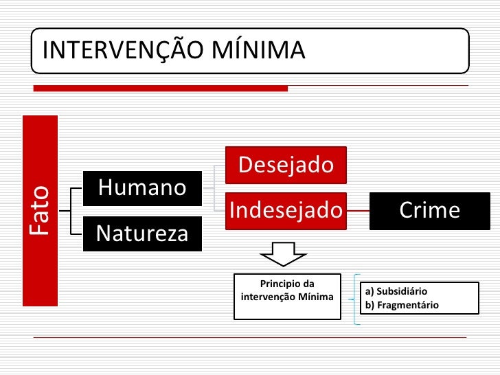 O Que é O Princípio Da Fragmentariedade