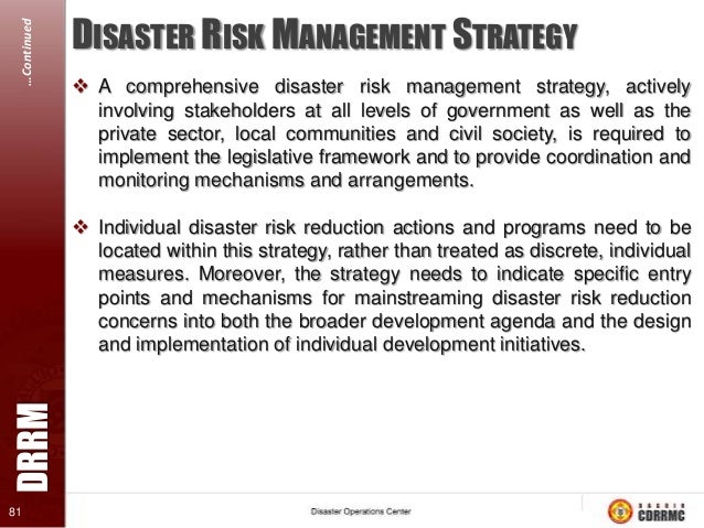 Disaster management essay pdf